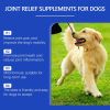 Yegbong Pet Dog Joint Supplement – Daily Joint Support & Mobility Care for Dogs