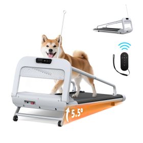 Quiet Smart Dog Treadmill for Small & Medium Dogs – Indoor Exercise & Fitness Training Machine
