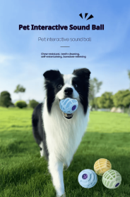 Pet Interactive Sound Ball, The Mellow Voice Ball, Interactive Pet Squeaky Toy (Option: Blue)