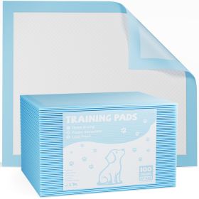 Puppy Pads – Leak-Proof Quick-Drying Disposable Dog Pee Pads (Option: Big40 pieces)