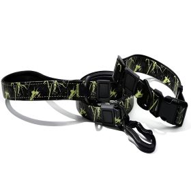 Waterproof Embossed UV Printed Dog Leash & Collar Set (Option: Green)