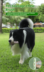 DOG Chew Toys For Teeth Cleaning,Pet Sausage Chew Brush,Pet Chew & Clean Buddy (Option: Green)