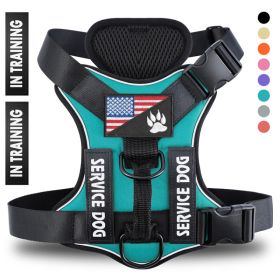 Reflective Breathable Adjustable Dog Harness for Everyday Walking & Training (Option: Green-XS)